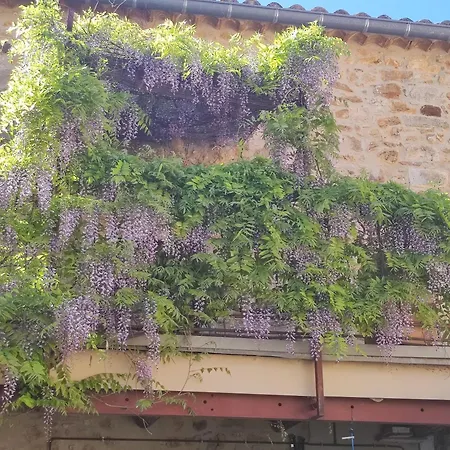 Provencale Proche Uzes