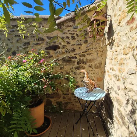 Provencale Proche Uzes